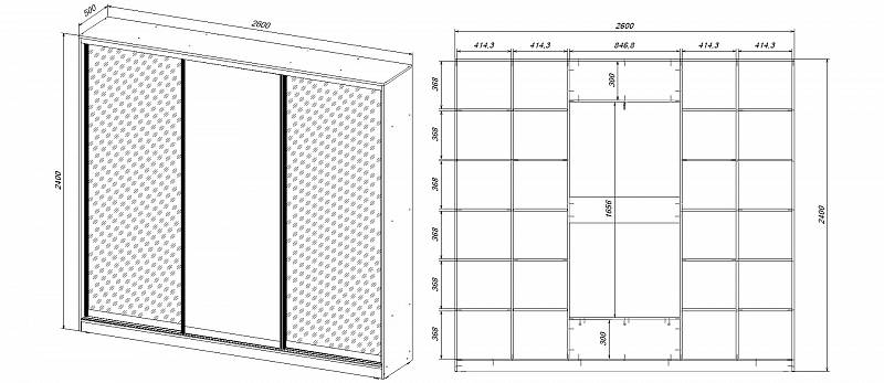 Шкаф-купе Винсон (2600х2400х500)