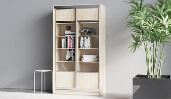 ЭСКИЗ Книжный шкаф-купе Джолион 10 BMS  (900х2300х500)